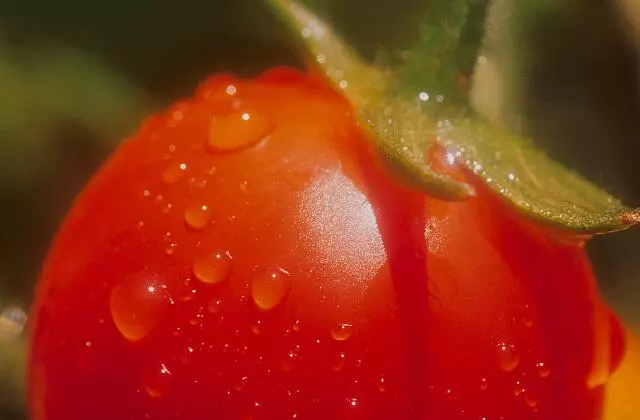 Tomate com gotas de água