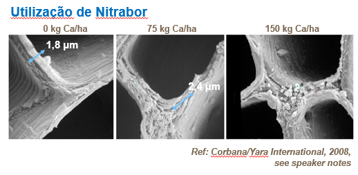 Utilização de Nitrabor