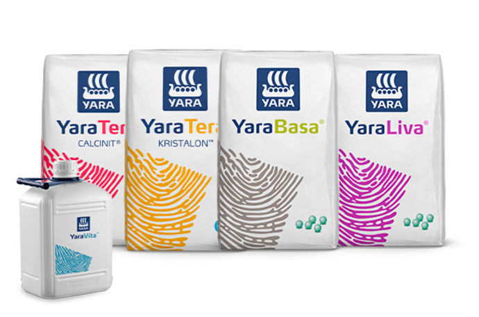 Imagem de pack de produtos do programa nutricional da uva