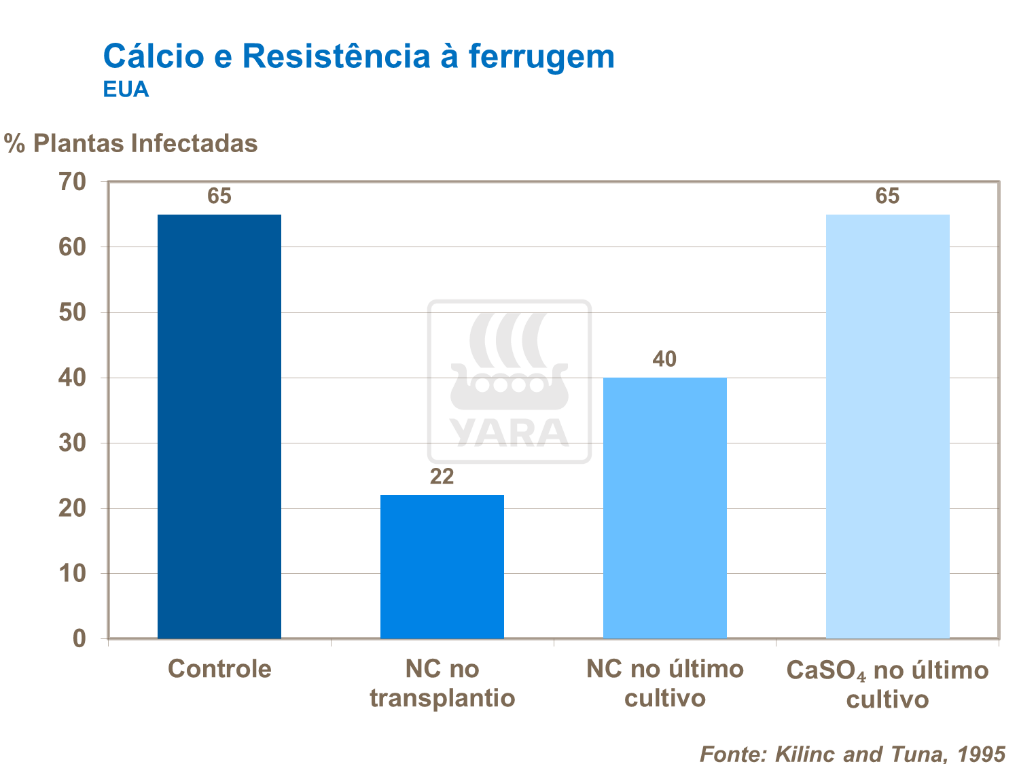 Cálcio e resistência a ferrugem