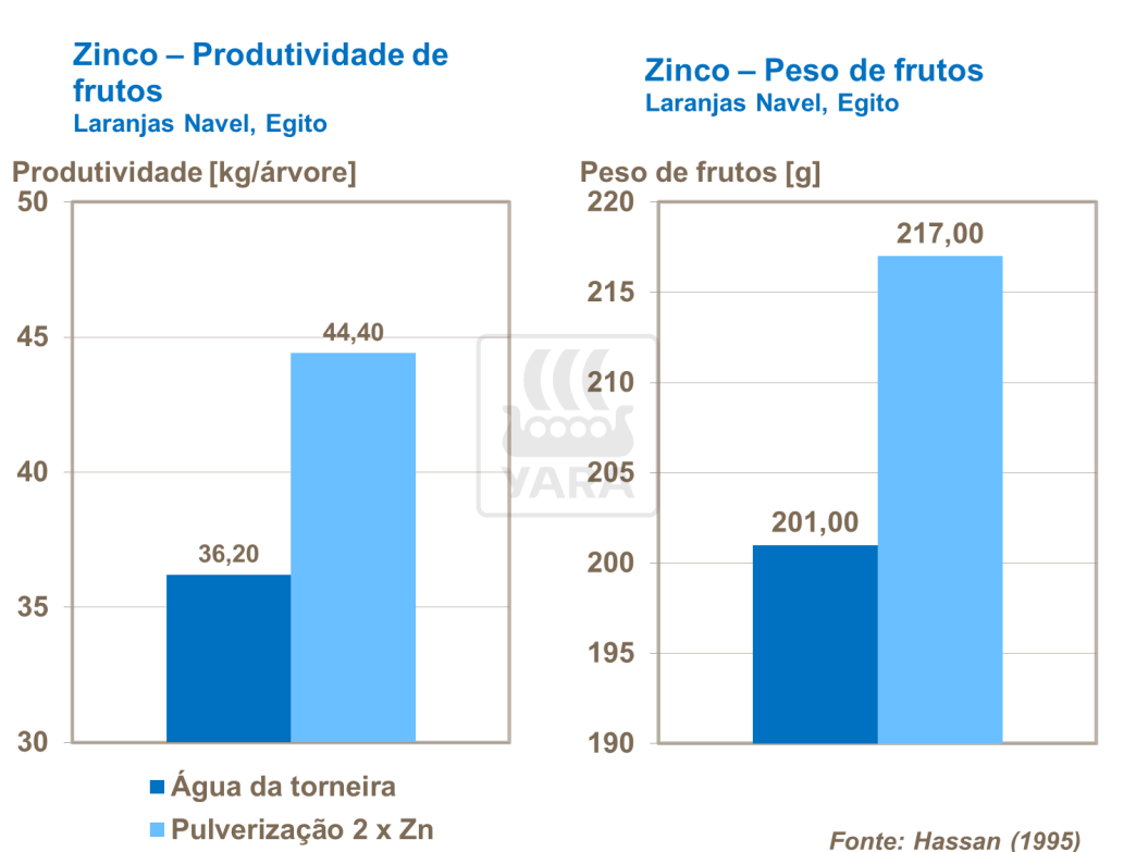 Zinco e produtividade