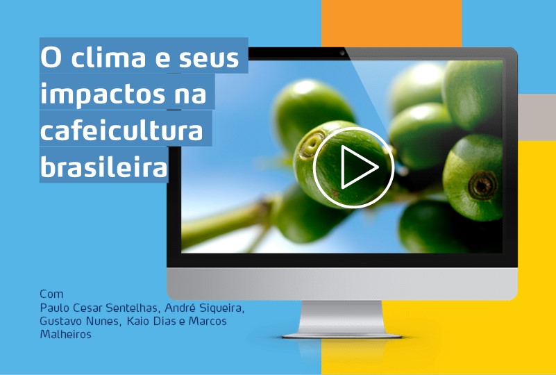 Banner Webinar Cafeicultura