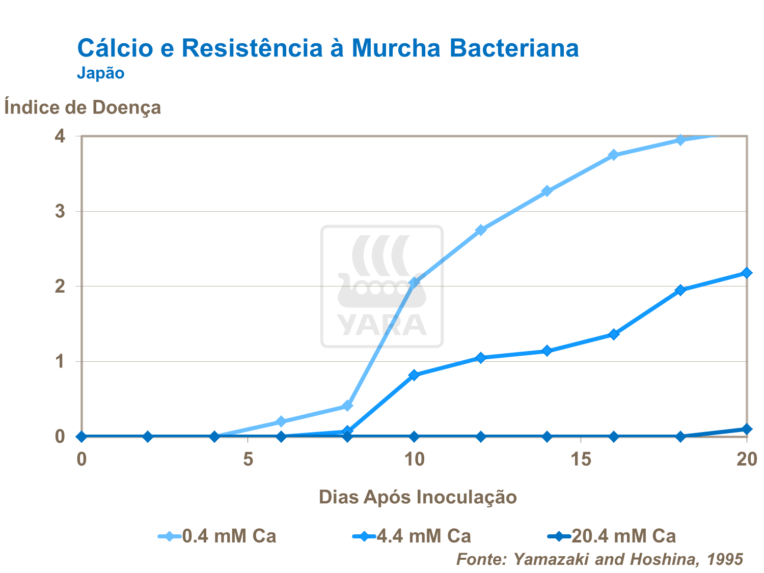 Cálcio e resistência a murcha bacteriana
