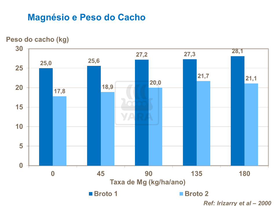 Magnésio e peso do cacho