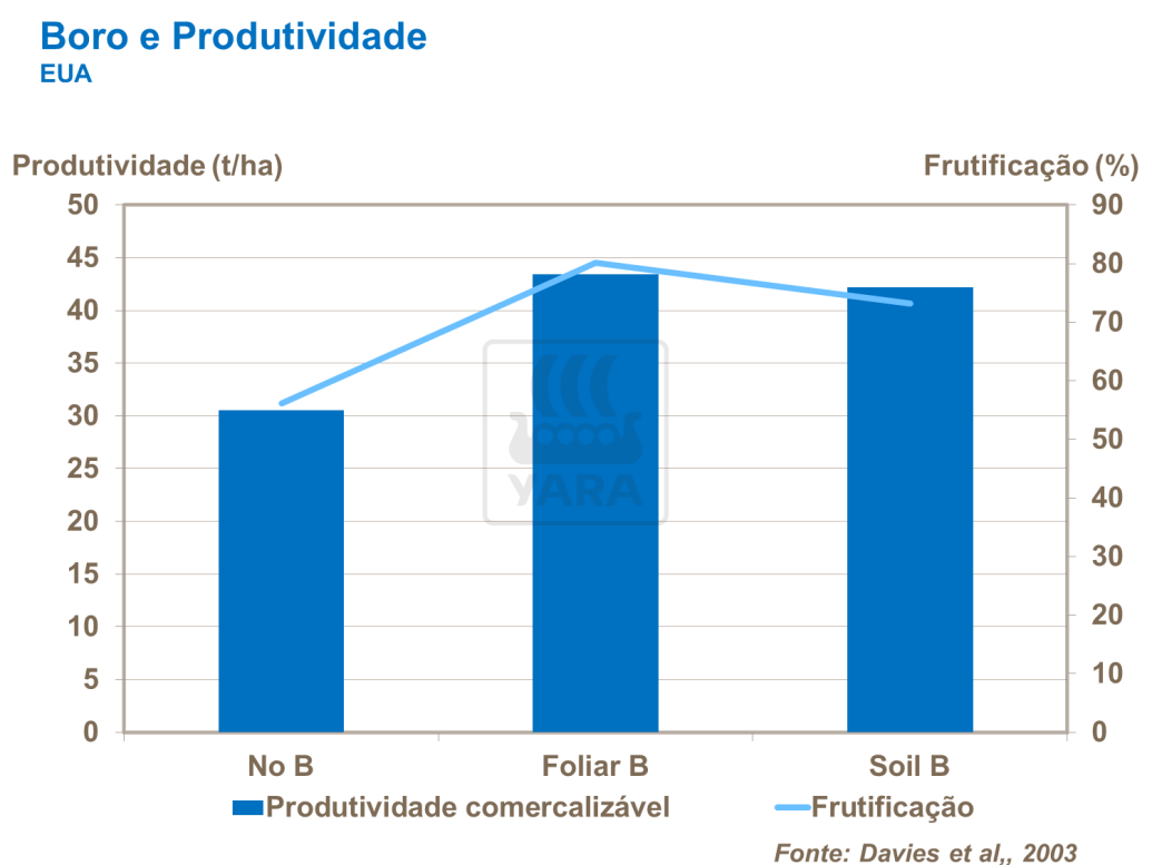 Boro e produtividade