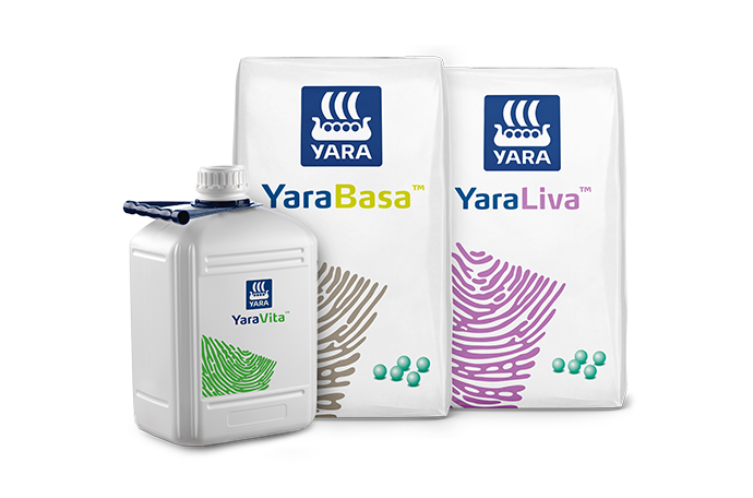 Imagem de pack de produtos do programa nutricional da cenoura