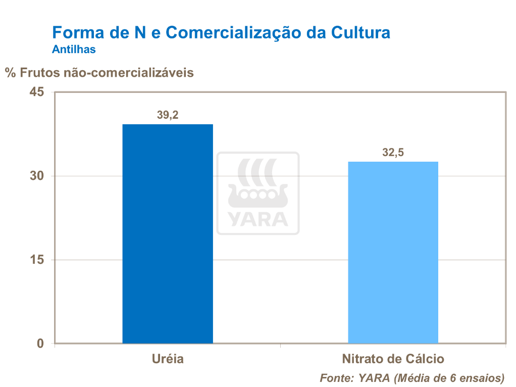 Forma de nitrogênio e comercialização da cultura