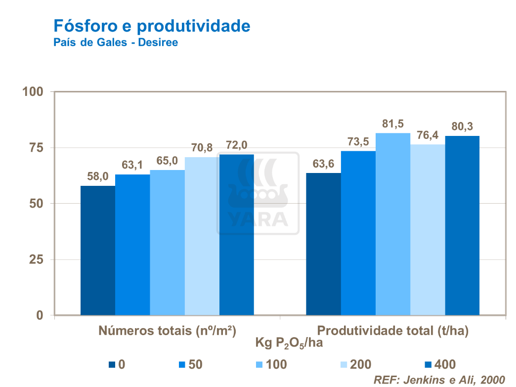 Fósforo e produtividade