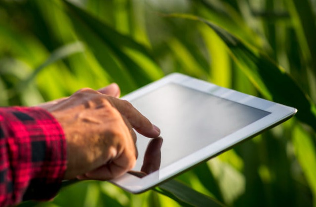 Mãos com tablet na lavoura