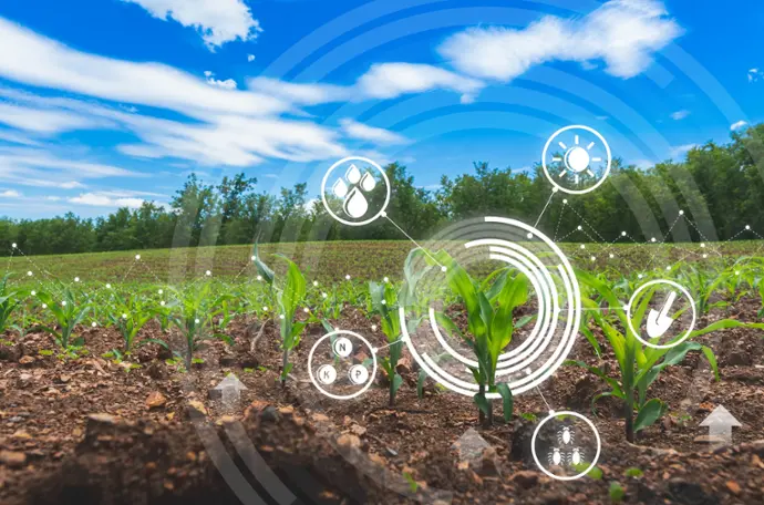 Símbolos tecnológicos no campo