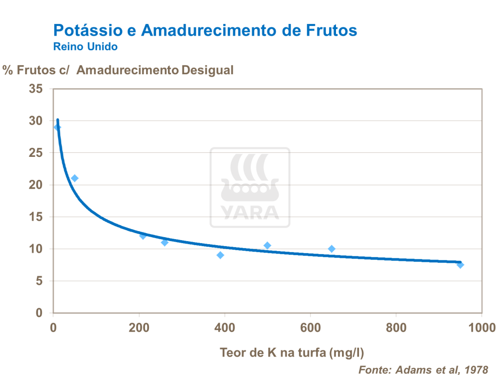 Potássio e amadurecimento de frutos