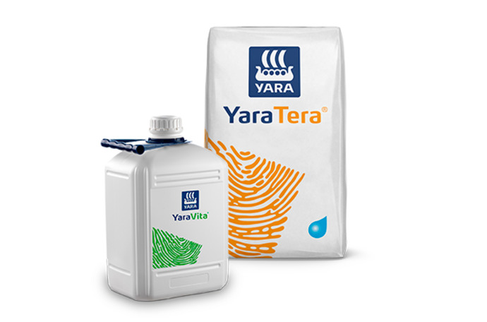 Imagem de pack de produtos do programa nutricional da manga