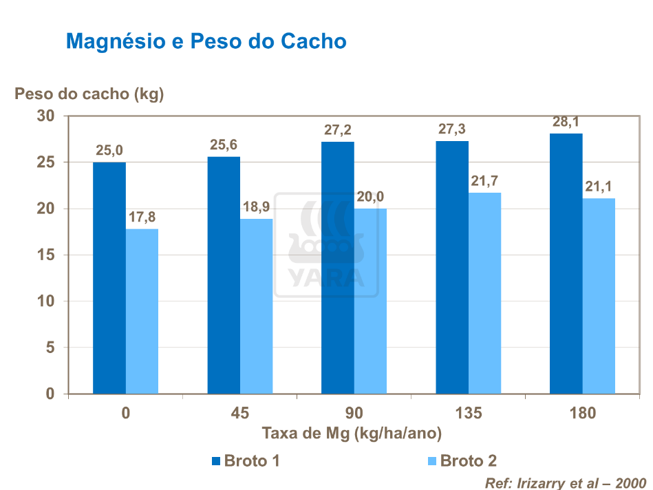 Magnésio e peso do cacho