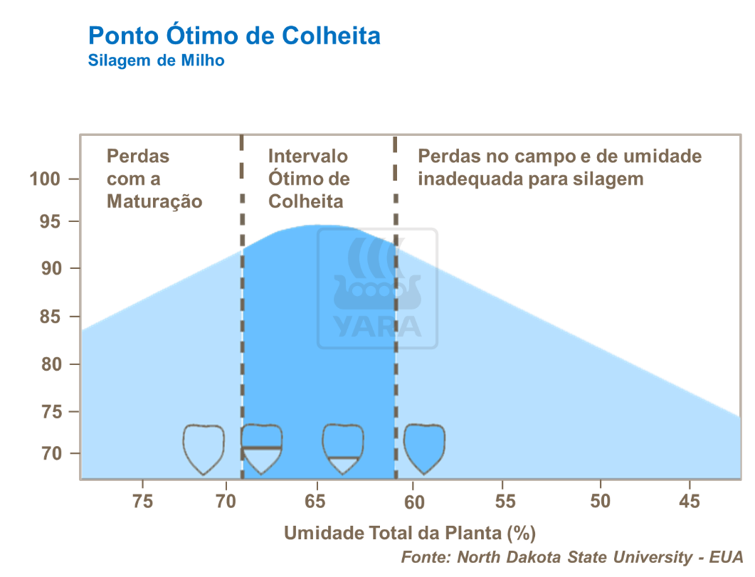 Ponto ótimo de colheita
