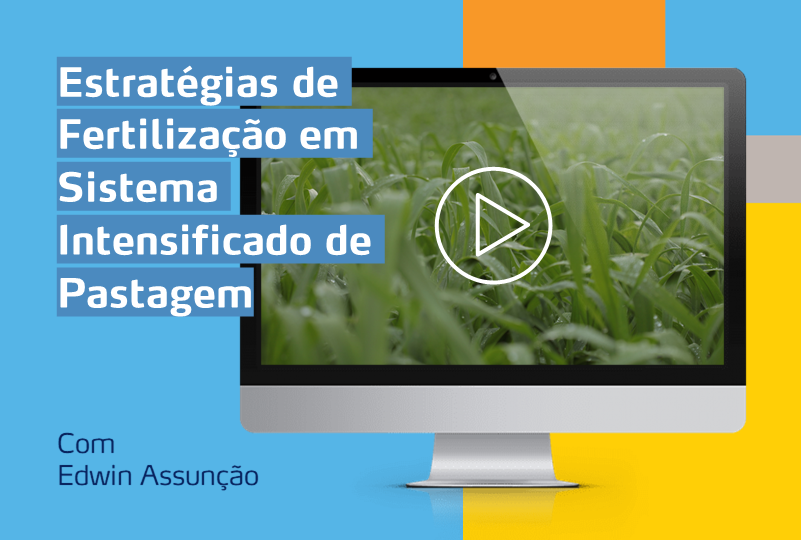 card com imagem de monitor com foto de cultura