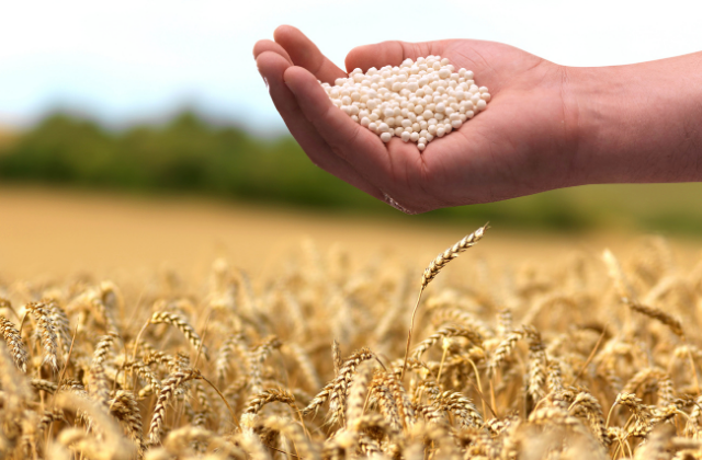 mão segurando granulos de fertilizante