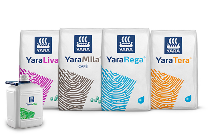 Imagem de pack de produtos do programa nutricional NossoCafé