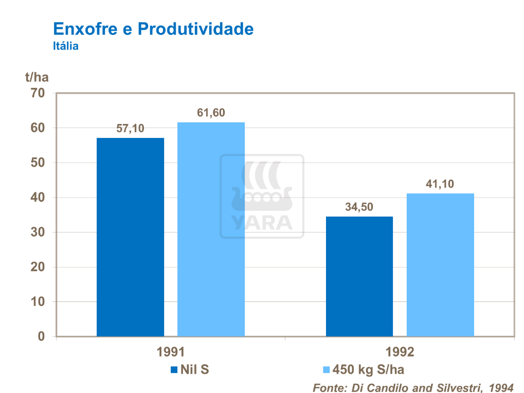 Enxofre e produtividade