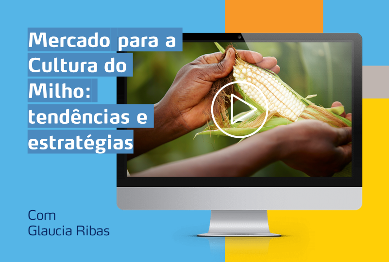 card com um monitor com a imagem de uma cultura