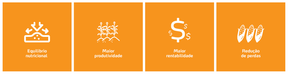 Ícones Benefícios PNY_MaisMays.png