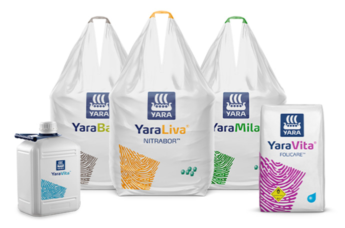 Imagem de pack de produtos do programa nutricional MaisFeijão