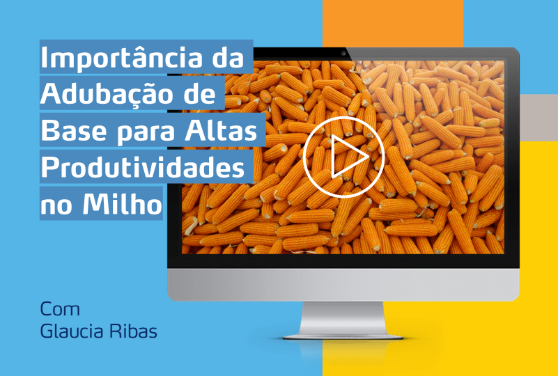 https://www.yarabrasil.com.br/conteudo-agronomico/webinars/