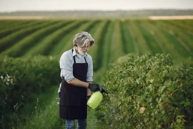 Fertilizantes Químicos: O que são, tipos e para que servem