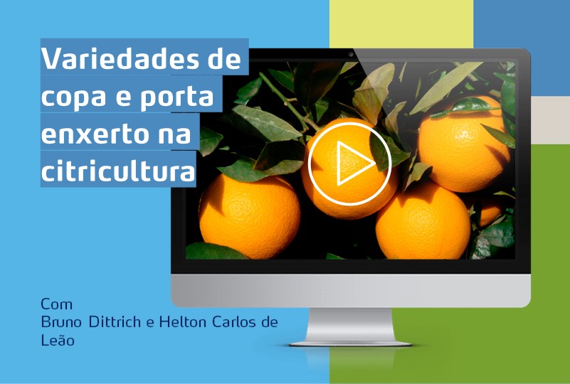 Banner webinar citricultura