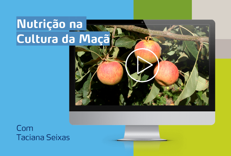 card com computador com imagem de uma cultura